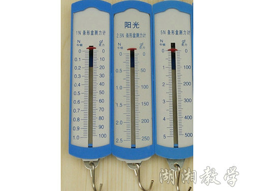 條形測(cè)力計(jì)