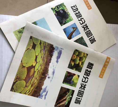 動(dòng)物、植物分類(lèi)圖譜